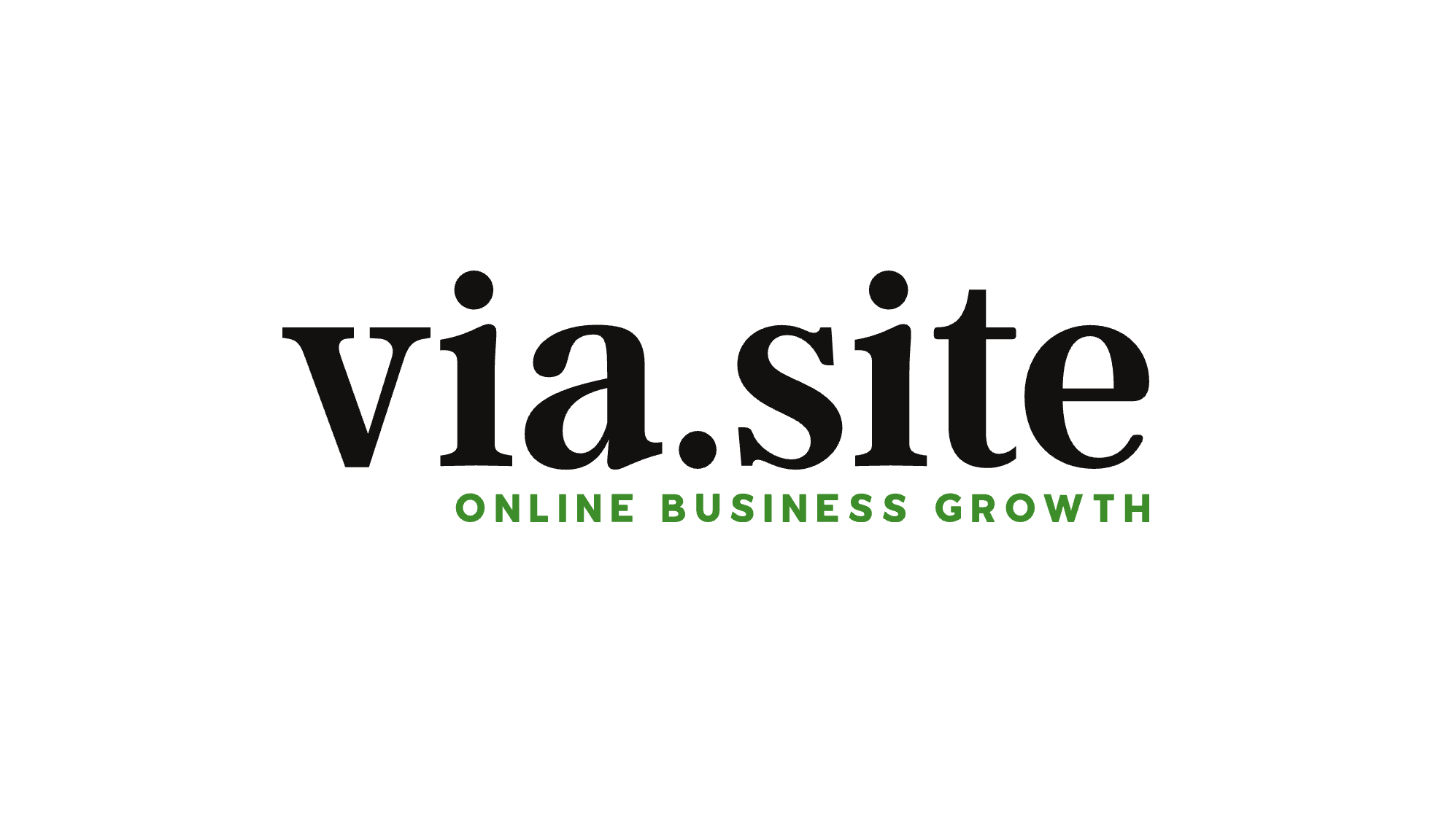 Logo Vis  (white)